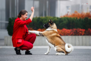 Amartami KEEP MY PRIDE