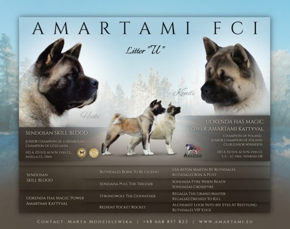 Amartami FCI -litter U