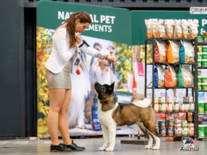 SPELLBOUND AMARTAMI BY Dark Mask