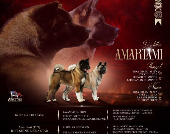 Amartami Puppies