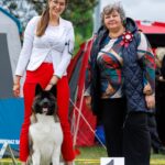 SPELLBOUND AMARTAMI BY Dark Mask