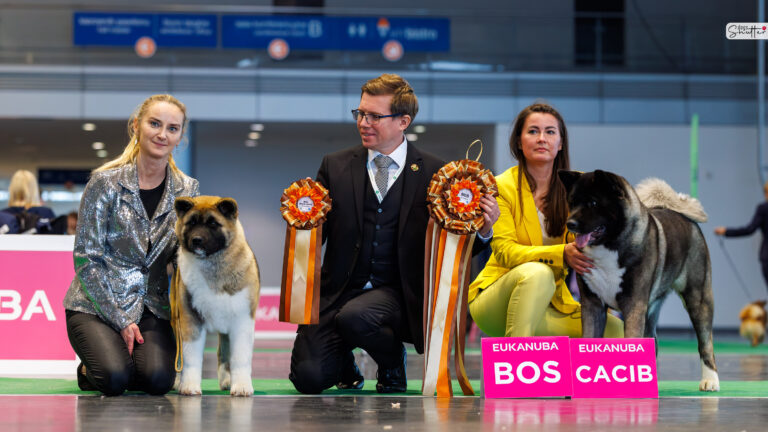 Amartami READY and Vision