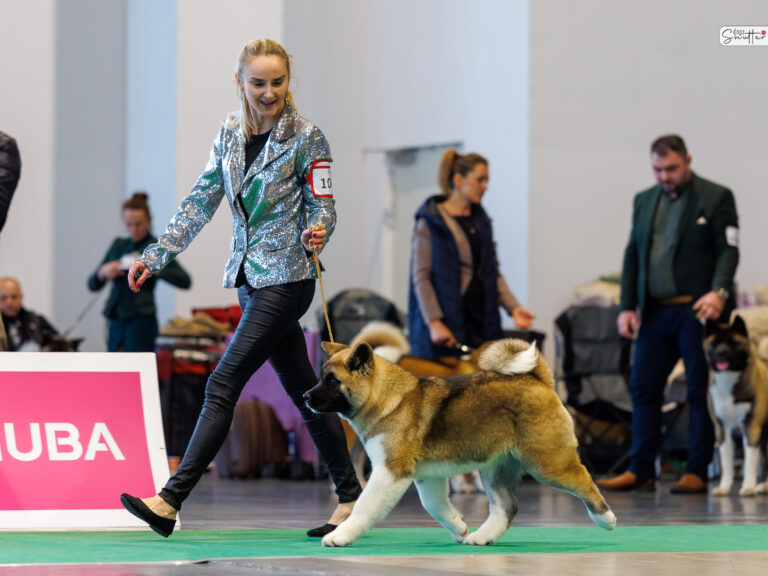 Amartami (FCI) VISION OF GLORY