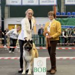 REBIRTH OFTHE ELF DES GARDIENS DE L'ARCHE DE NOE