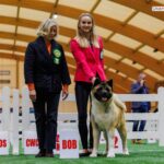 REBIRTH OFTHE ELF DES GARDIENS DE L'ARCHE DE NOE