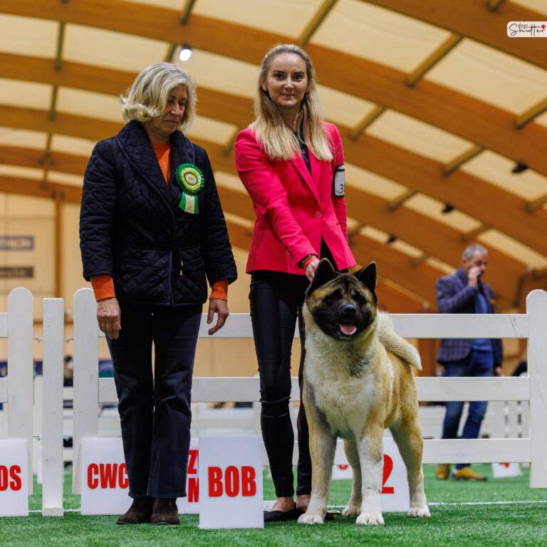 REBIRTH OFTHE ELF DES GARDIENS DE L'ARCHE DE NOE