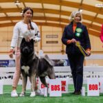 Amartami With Parabellum