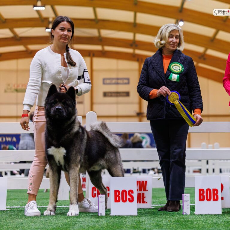 Amartami With Parabellum