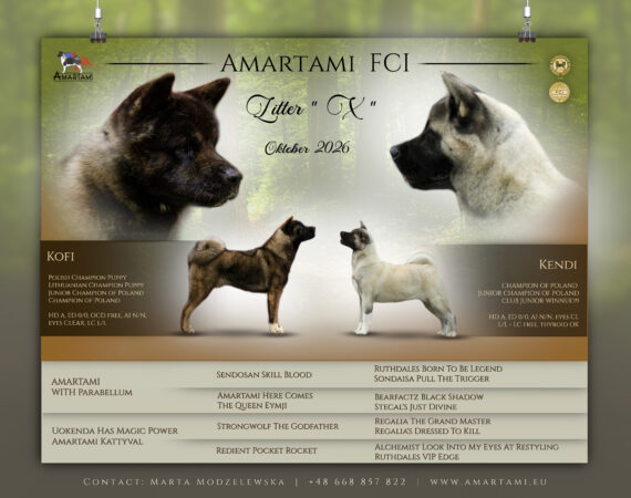 Amartami FCI - zapowiedź akity miot X (1)